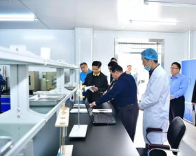 黃江加快探路“互聯網+”食品安全監管 信息技術助推“明廚亮灶”信息咨詢服務
